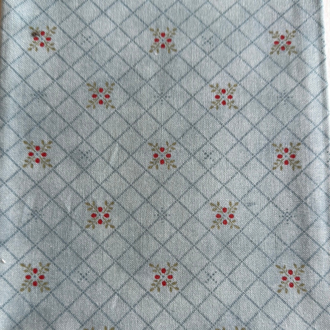 Cupón Moda pradera Paisley 50cm azul-1